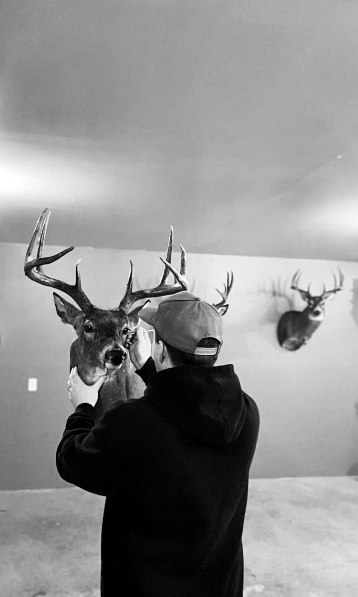 Alberta Peak Taxidermy